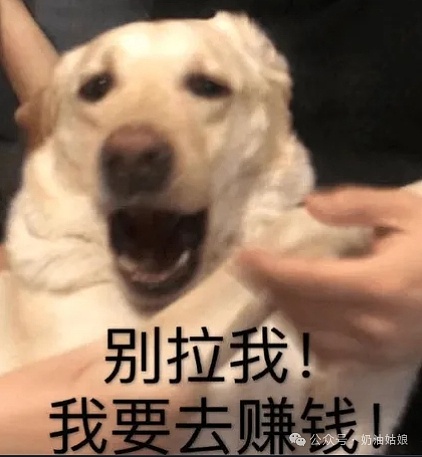 香港稳定币：一场金融支付的静悄悄革命