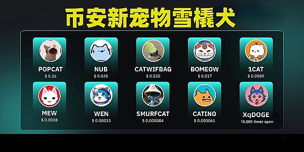 渣打香港携手两大巨头布局稳定币赛道，新公司三易其名终落定