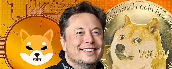 狗狗币要翻8倍？0.24美元关口成关键战役！马斯克效应再度发威